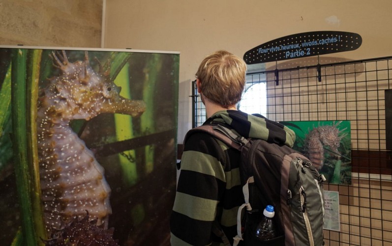 4-Maison-de-la-nature---Expositions