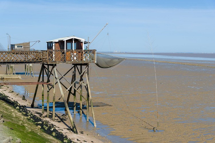 Carrelets