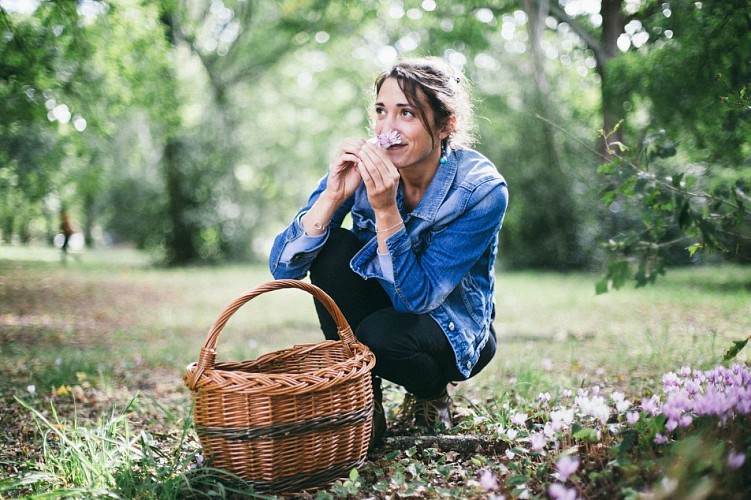 Arbre MGEN 2 © Grégory Cassiau - Les Conteurs