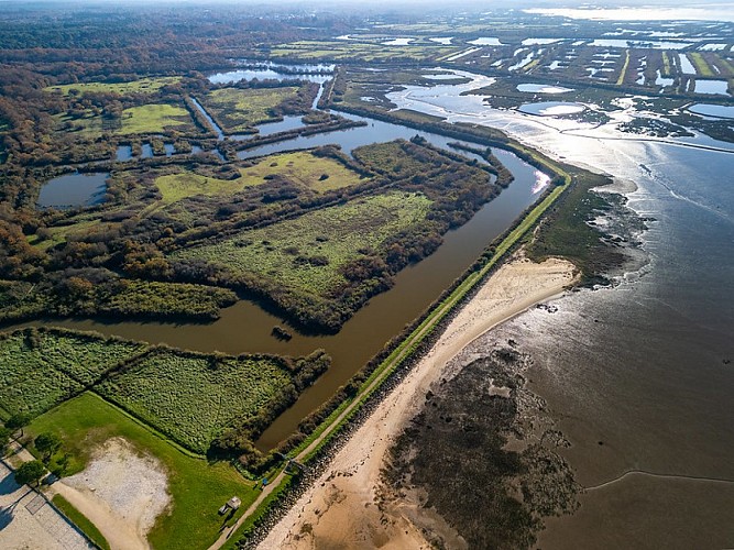 Domaine de Certes - Graveyron - vue aerienne