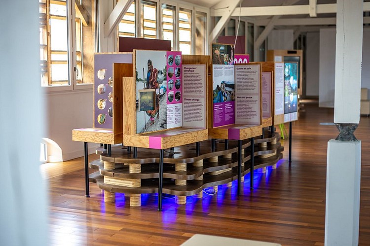 Exposition domaine de Certes