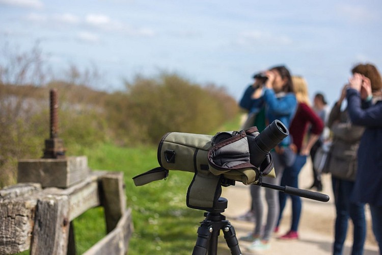 Visite accompagnée 2