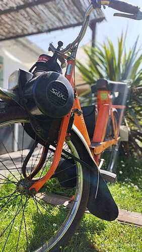 347232971_632492122102567_3532031792729243940_n (Copier)