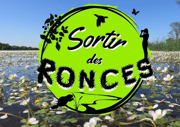 Design sans titre - 1