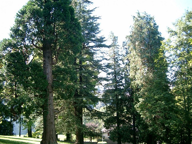 Parc-Pomme-I-OLORON-SAINTE-MARIE-OTHB-DI