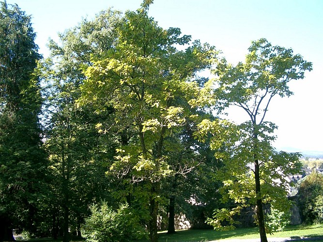 Parc-Pomme-II-OLORON-SAINTE-MARIE-OTHB-DI