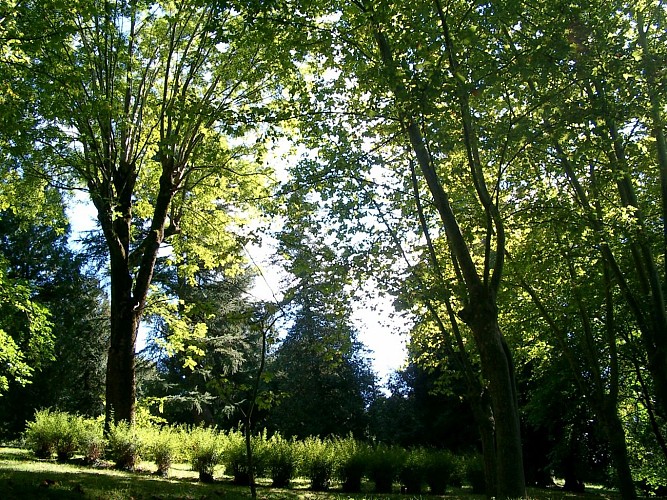 Parc-Pomme-III-OLORON-SAINTE-MARIE-OTHB-DI