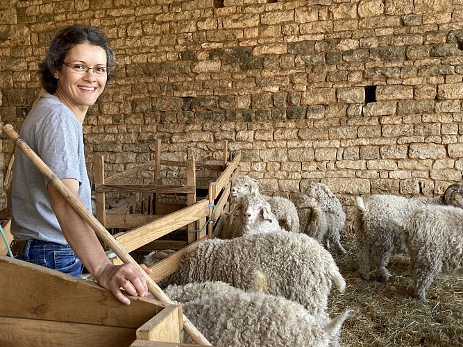 Isabelle et le troupeau dans la chèvrerie