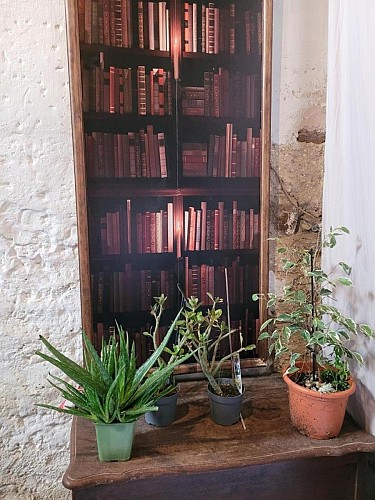 Gîte de la Pépinière de Chapi_10