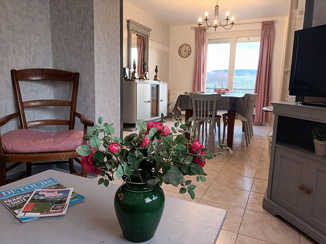 Salon tv bibliotheque et jeux_6