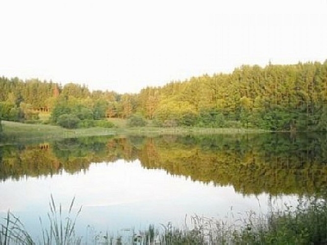 Meublé de Tourisme de Mme TERRADE Simone_3