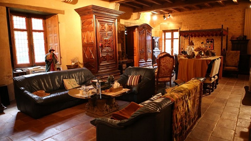 Périgord Noir Vallée Dordogne-le fournel - salon