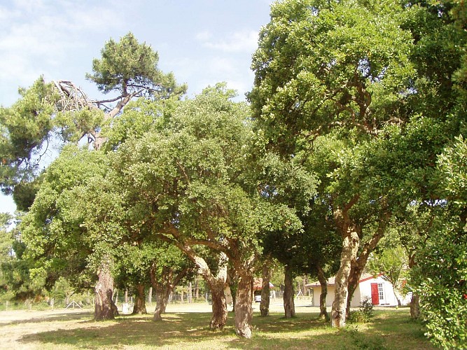 Gîte La Jauguette