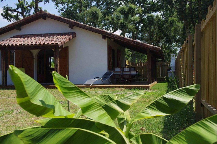 Gîte Les Thuyas 11584 à Azur