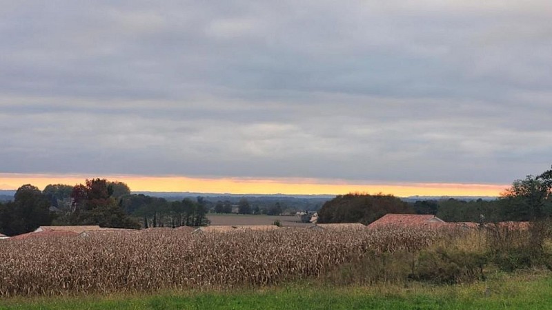 La Box des Oiseaux vue jardin 2025 ©AguilarVelten