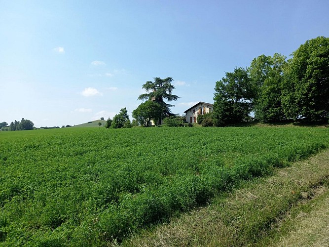 HLOAQU047V50IL2L_photo2