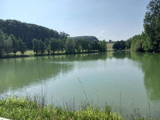 HLOAQU047V50IL2L_photo1