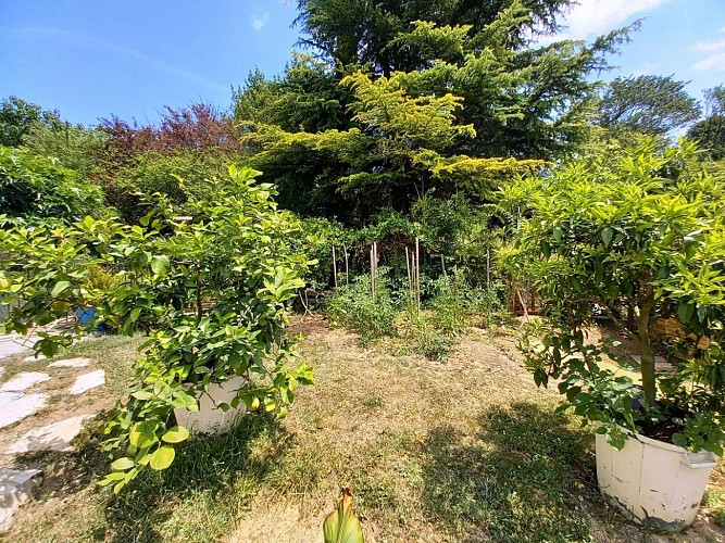 HLOAQU047V50IL31_photo6