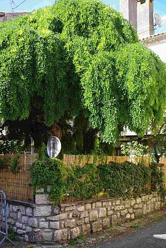 Villeréal - Gîte Saint Michel (4)