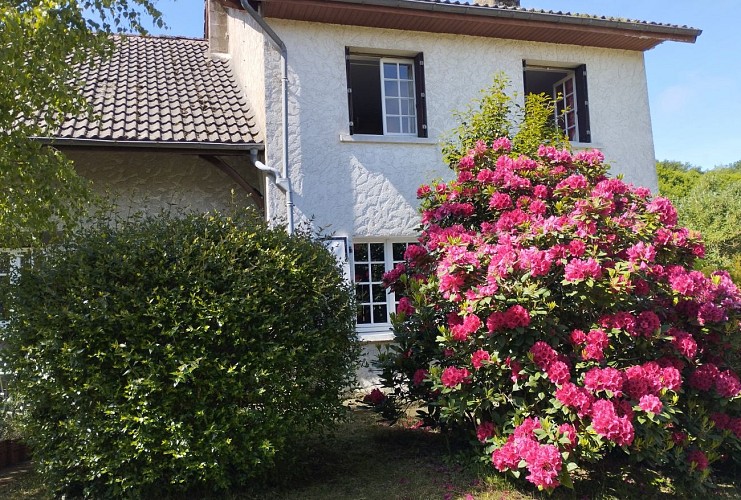 Meublé de tourisme Les Ginkgos_1