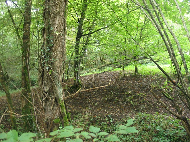 Hébergement insolite - le petit bois