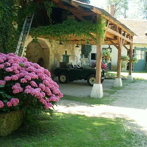 KONICA MINOLTA DIGITAL CAMERA