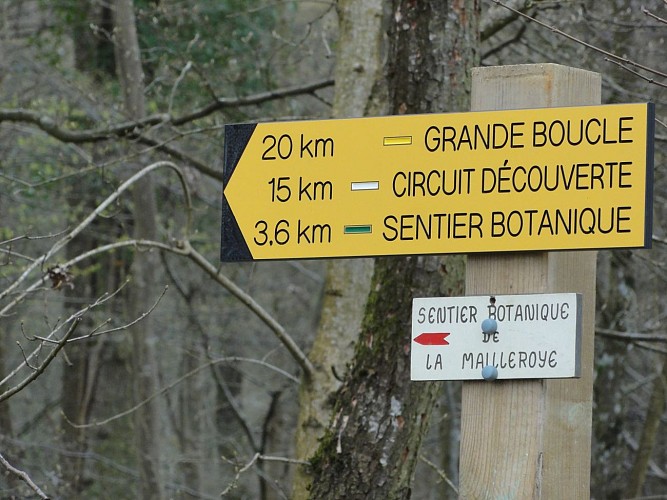 Départ itinéraires balisés de La forêt de la Mailleroye.
