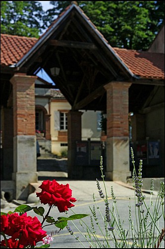 La butte du château 
