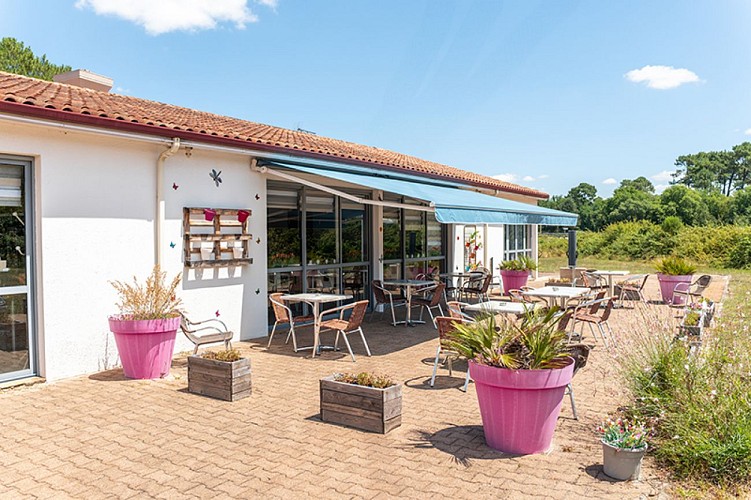 Cestas - Kyriad Direct3