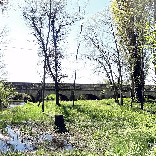 Pont à 5 arches de Demigny 71150