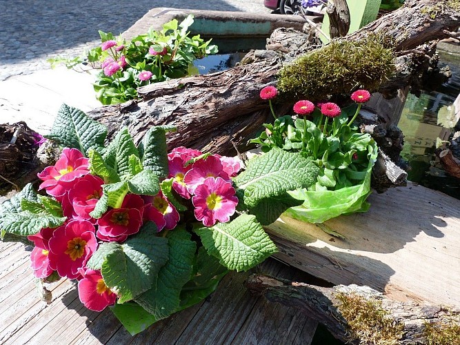 Meublé de tourisme Chalet nature Hortensia