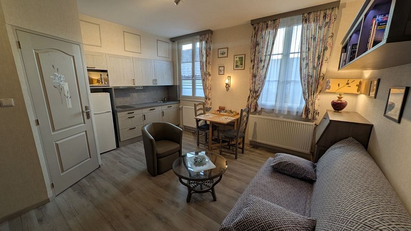 Meublés de tourisme au Cygne