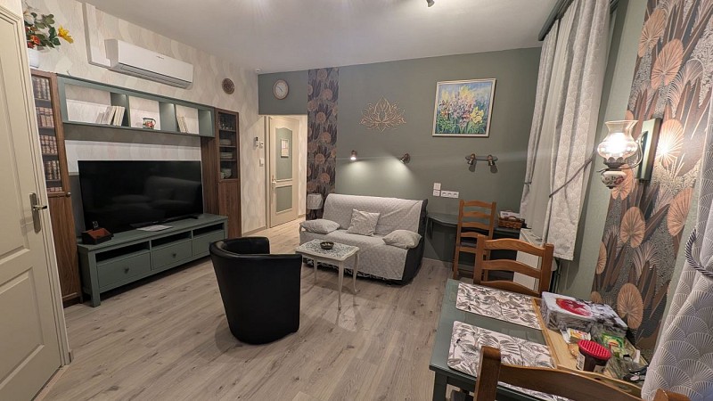 Meublés de tourisme au Cygne