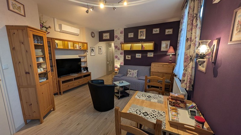 Meublés de tourisme au Cygne