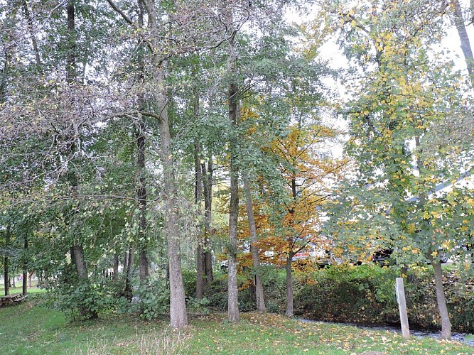 Sentier pieds nus Sens'Hasel à Oberhaslach