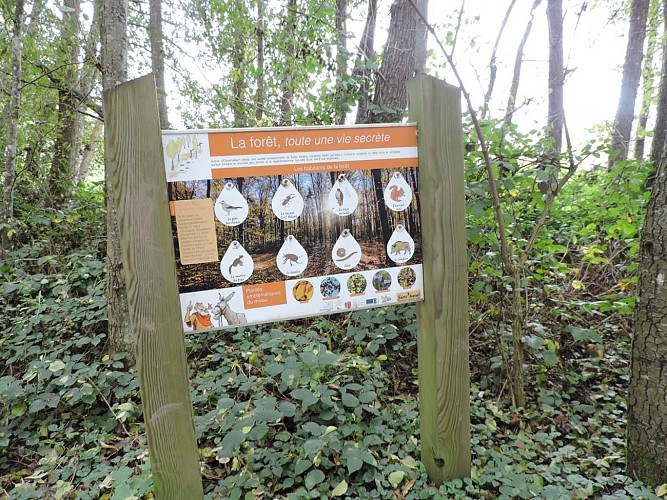 Sentier pieds nus Sens'Hasel à Oberhaslach