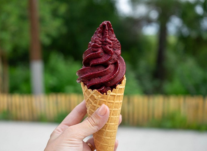 Tornade glacee waffle cone