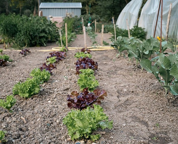 Olivade_BD8©Antoine Marquaille