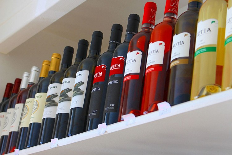 Gozo Gose - 64120 Saint Palais - Pays basque (5)