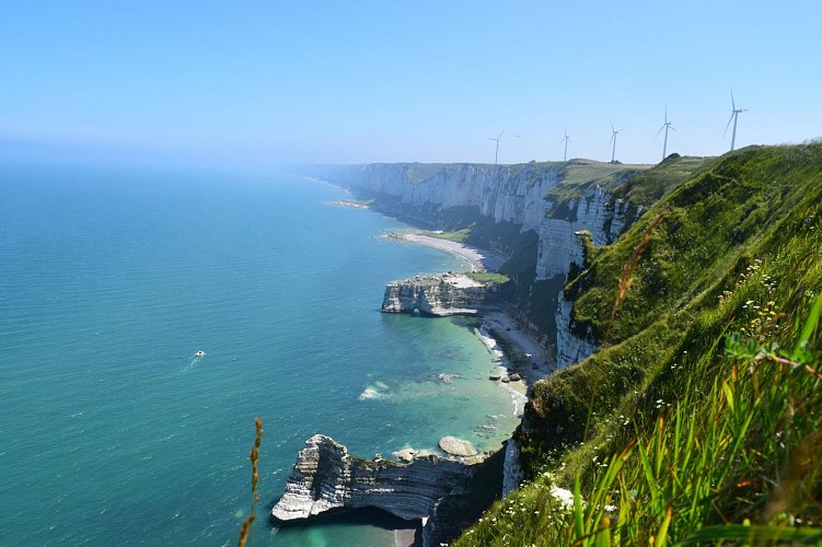 MAISON DU PATRIMOINE - FECAMP