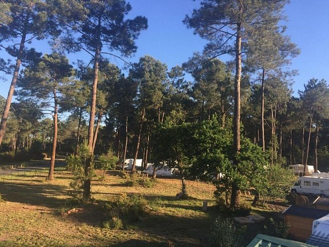 e2cc22959ed69cf50b9ab0aa7fe36351 [800x600]