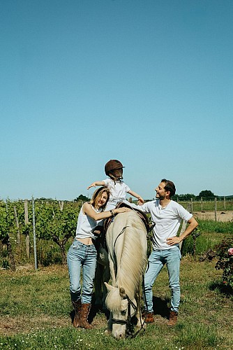 Chateau Vieille Tour - la Gironde du Sud 