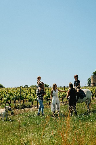 Chateau Vieille Tour - la Gironde du Sud