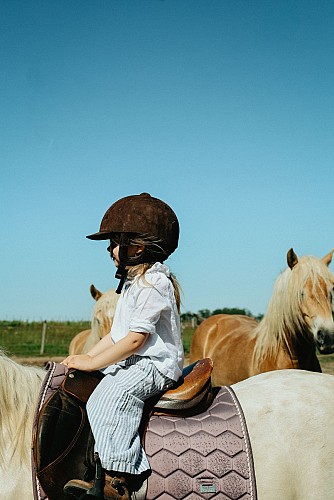 Chateau Vieille Tour - la Gironde du Sud 