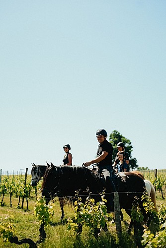 Chateau Vieille Tour - la Gironde du Sud 