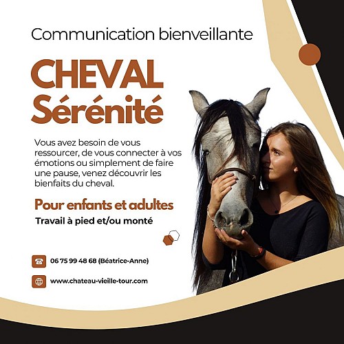 CHEVAL Sérénité Instagram - 1