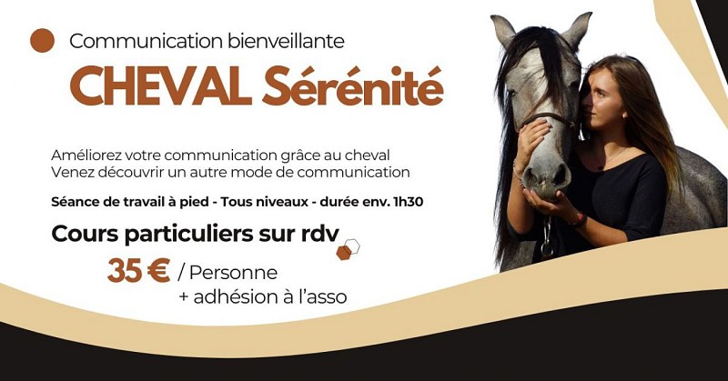 CHEVAL Sérénité (1200 x 628 px) - 1