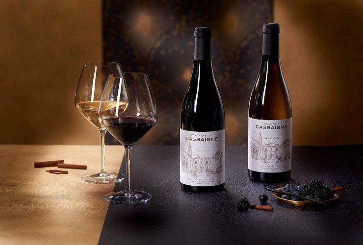 Château de Cassaigne