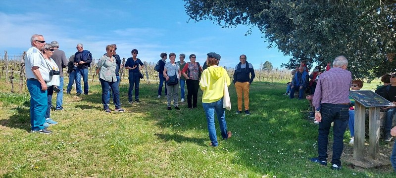 Château de Cassaigne