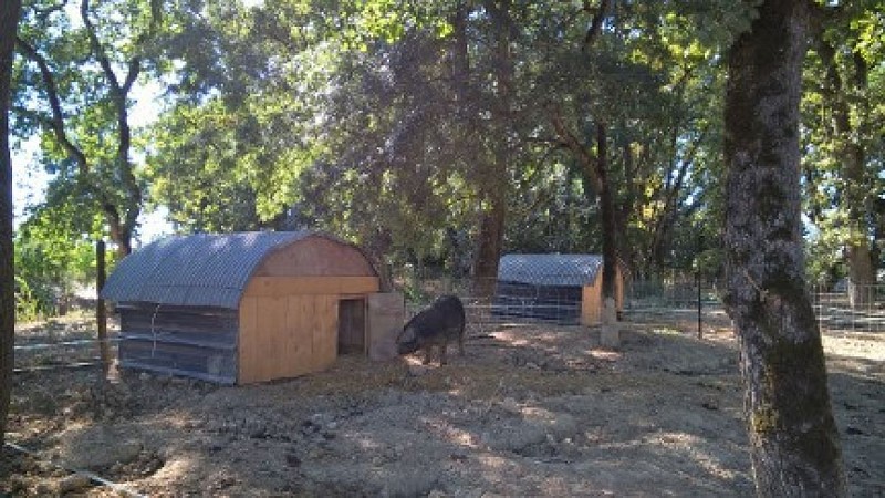 La Ferme de Martin Neuf